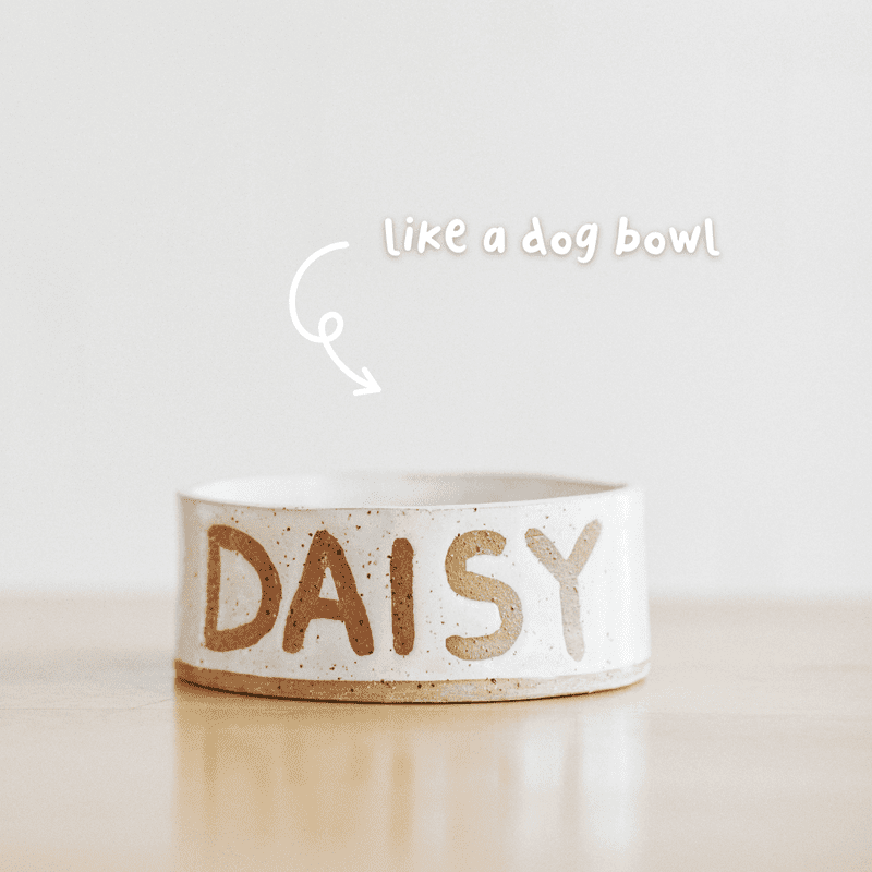 Beginner Hand Building: 1-Day Intensive Course