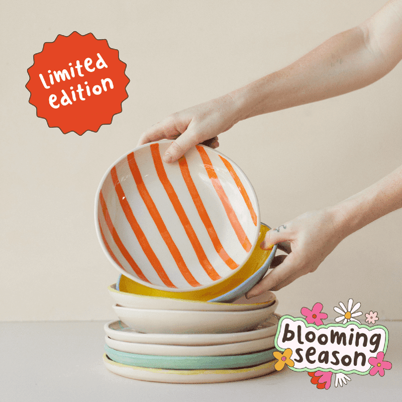 Make & Paint Your Own Dinner Set